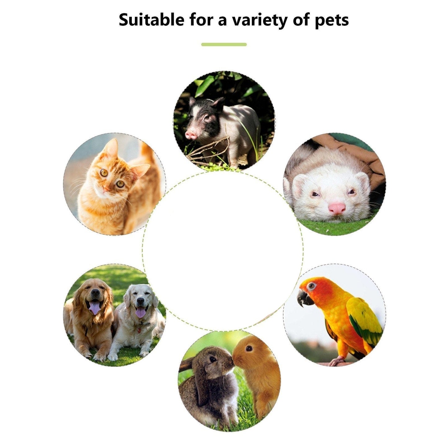 Sifflet pour chien avec clicker – Dressage 2 en 1